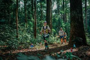 BIB: 
                            <button type="button" onclick="openModal(26133243)" class="btn btn-primary btn-sm float-right btn-popup" data-toggle="modal" data-target=".modal-high-quality">
                        <i class="fas fa-shopping-cart"></i> Add to Cart
                    </button>
                                            <button type="button" onclick="isThisMe(26133243, true)" class="btn btn-success btn-sm float-right btn-popup btn-isme hidden" data-toggle="tooltip" data-placement="bottom" title="นี่คือรูปของคุณใช่ไหม คลิกที่นี่เพื่อเอาเข้าอัลบั้ม">
                        <i class="fas fa-plus"></i> Add to album
                    </button>
                    <button type="button" onclick="isThisMe(26133243, false)" class="btn btn-warning btn-sm float-right btn-popup btn-isnotme hidden">
                        <i class="fas fa-ban"></i> Remove from album
                    </button>